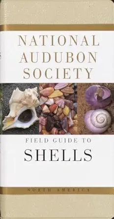 Thick durable seashell reference field guide surrounded by North American shells