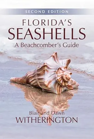 Regional Florida seashell guidebook with colorful Florida shells on a sunlit table