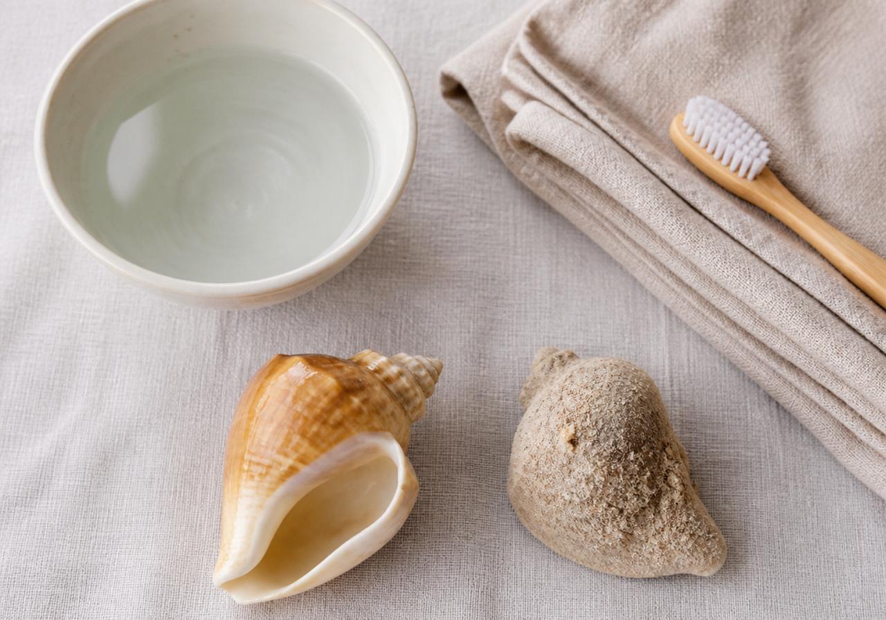 Seashell cleaning supplies: a bowl of water, a soft brush, linen cloth, and a clean shell beside a sandy one