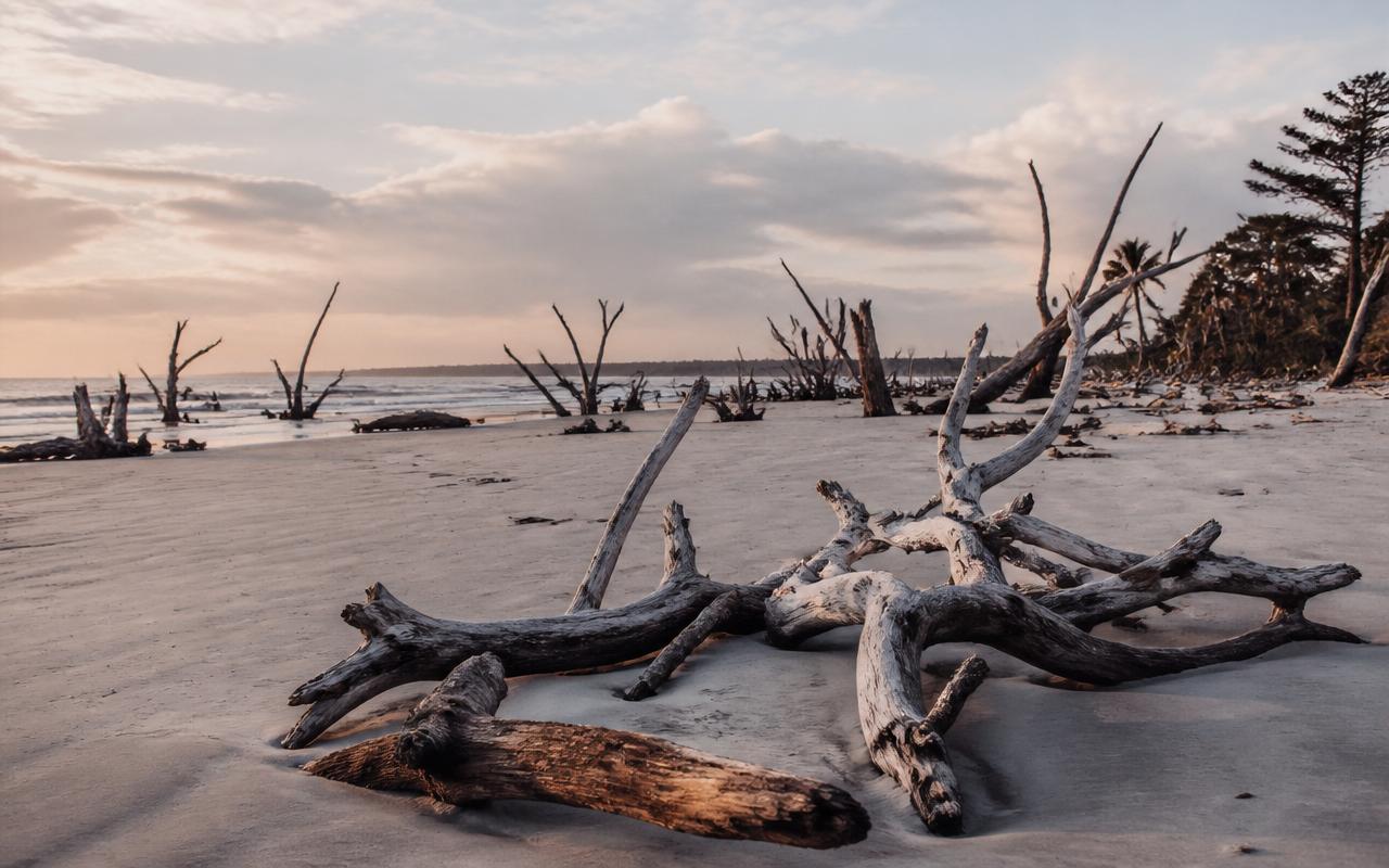 Lowcountry & the Sea Islands coastline