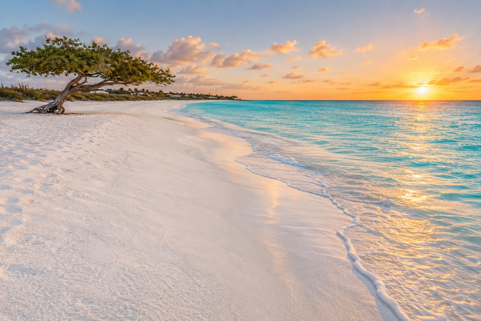 Eagle Beach in Aruba with pale sand and clear turquoise Caribbean water under a soft sky