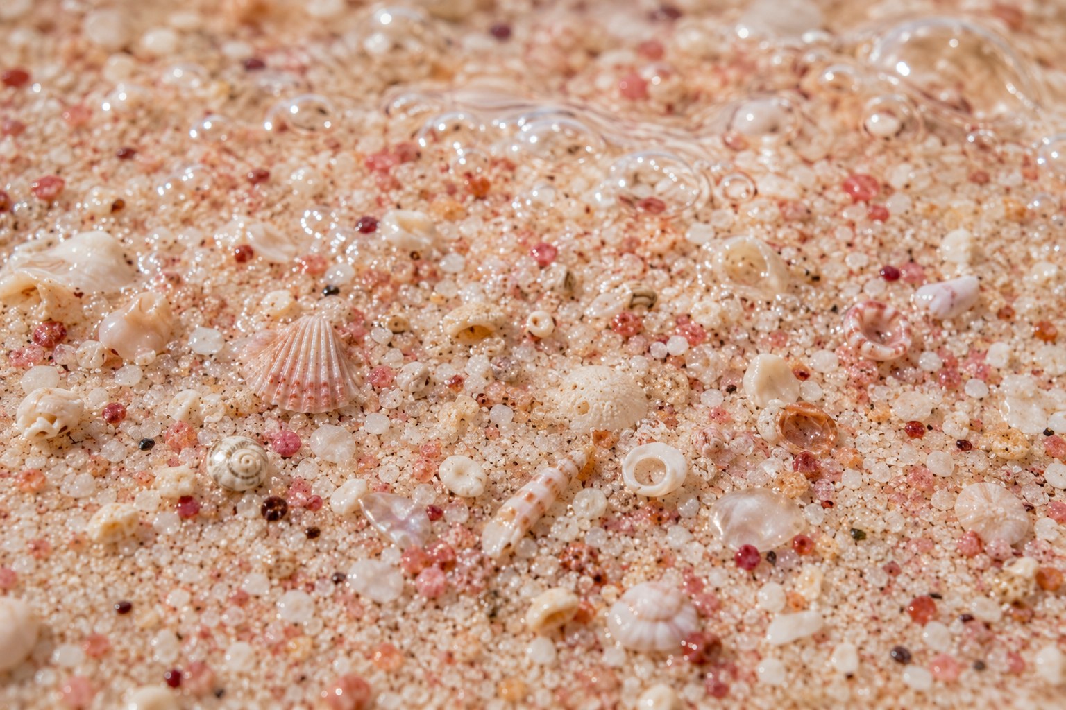 Macro close-up of pale pink Bermuda sand grains with tiny shell fragments and small marine material